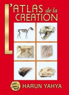 190859-le-creationnisme-au-nomdu-coran-arrive-en-france